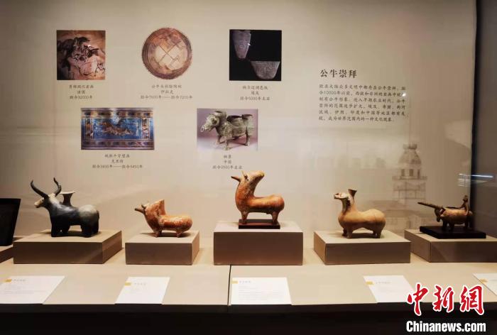 “从地中海到中国：平山郁夫丝绸之路美术馆藏文物展”展品。　胡健 摄